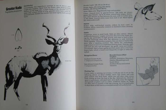 Hunting on Safari in East and Southern Africa Aubrey Wynne-Jones