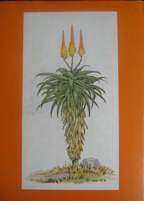 South African Aloes Barbara Jeppe