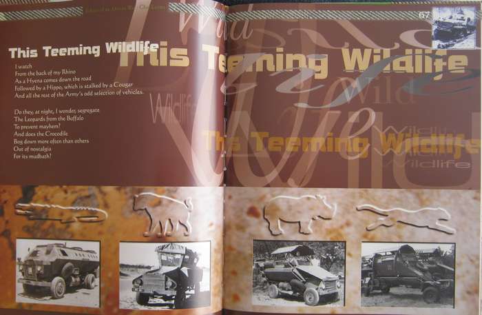 Echoes of an African War   Author: Chas Lotter   Publisher: Covos-Day Books   Edition: First 1999 IS