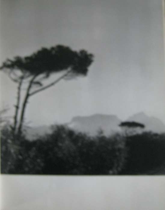 Portrait of South Africa Hans Reich