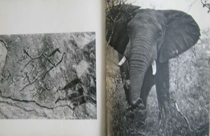 Portrait of South Africa Hans Reich