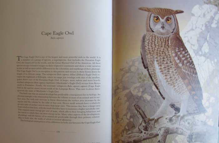 The Owls of Southern Africa Alan Kemp  | Simon Calburn