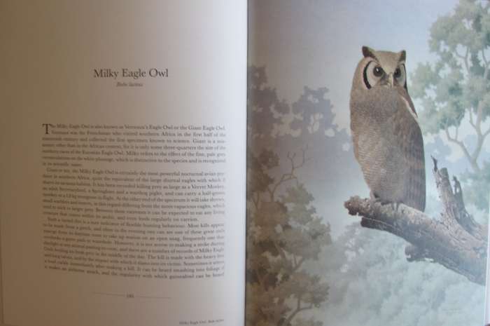 The Owls of Southern Africa Alan Kemp  | Simon Calburn