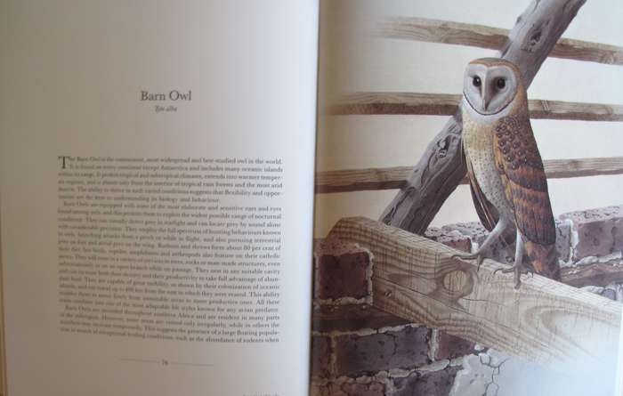 The Owls of Southern Africa Alan Kemp  | Simon Calburn