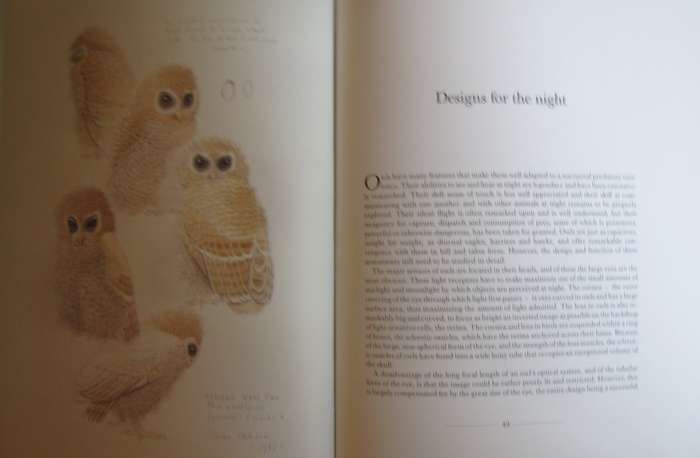 The Owls of Southern Africa Alan Kemp  | Simon Calburn