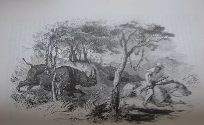 A Hunters Life in South Africa  Author: R Gordon Cumming