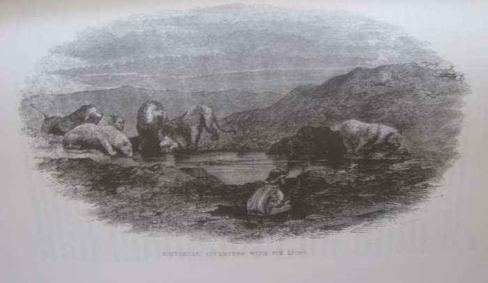 A Hunters Life in South Africa  Author: R Gordon Cumming