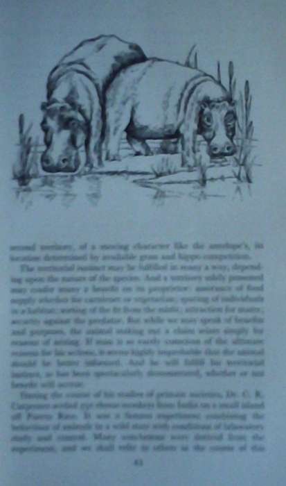 African Genesis A Personal Investigation into the Animal Origins and Nature of Man Robert Ardey