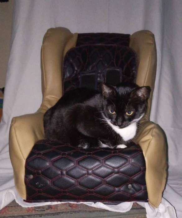 Car baby Seat leatherette