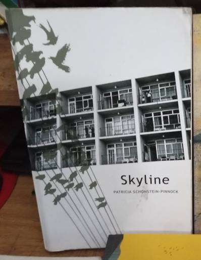 Skyline by Patricia Schonstein
