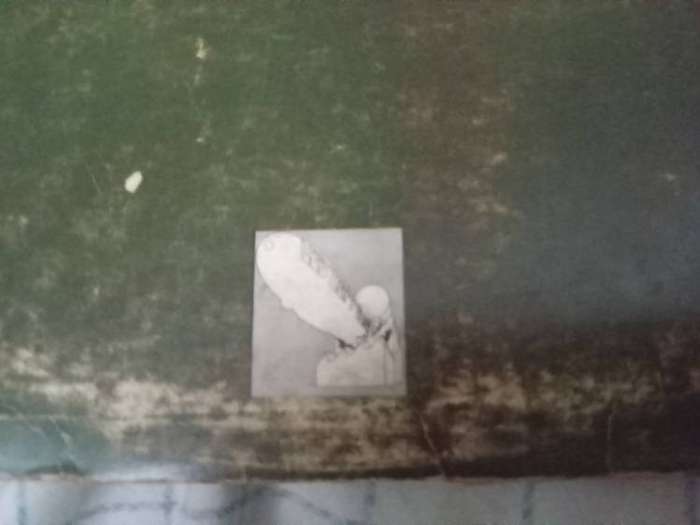 Led Zeppelin II  vinyl