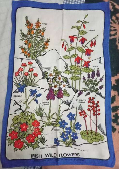 7 lovely Tray cloths