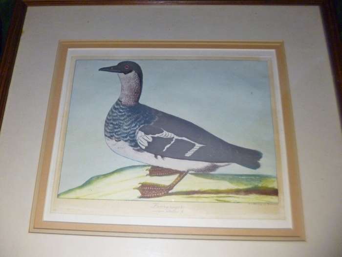 Duck Prints x 2