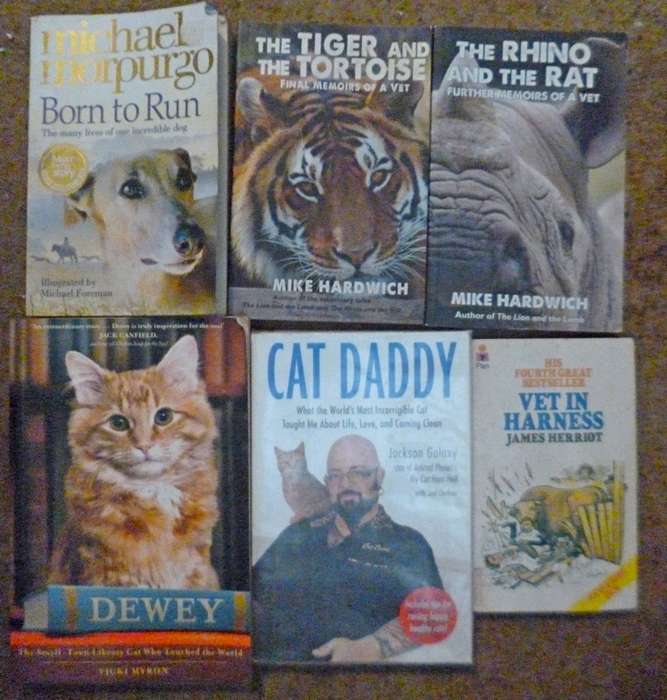 Animal stories  . Vet story Books x 5