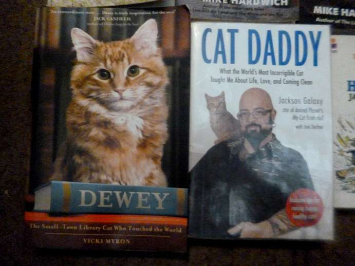 Animal stories  . Vet story Books x 5