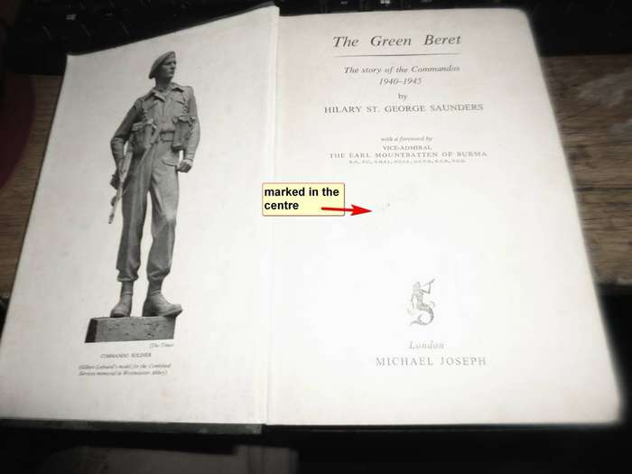 The Green Beret by Hilary