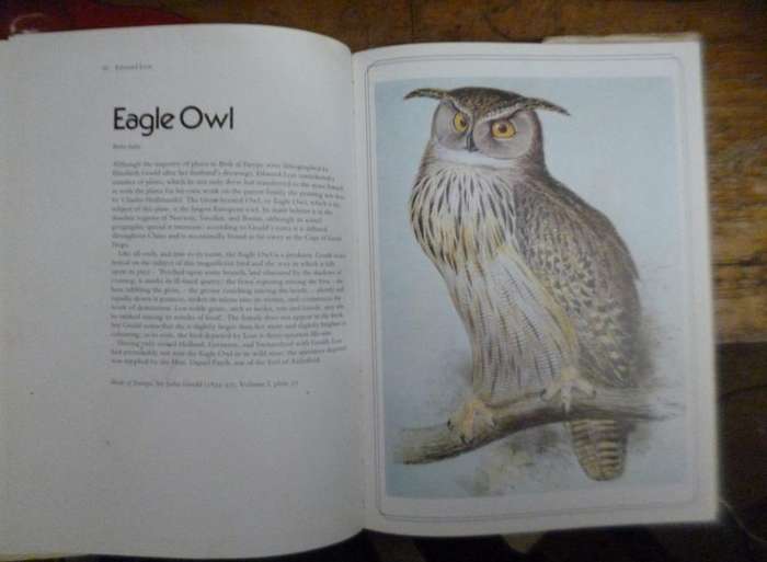 Great Bird Illustrators and Their Art , 1730-1930