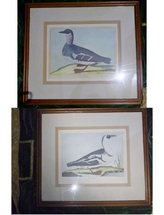 Duck Prints x 2