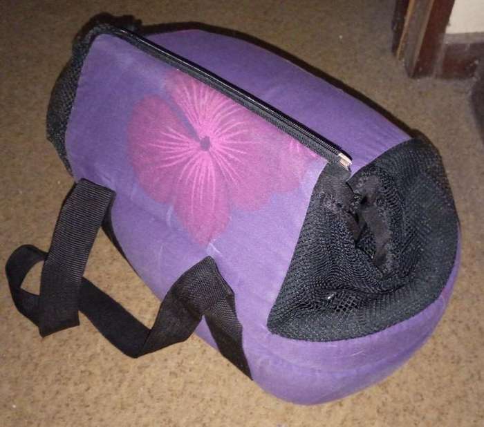 Cat Carrier