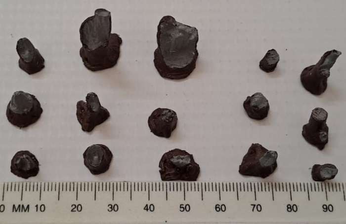Model Trains HO - 15 x Tree Stumps - Various