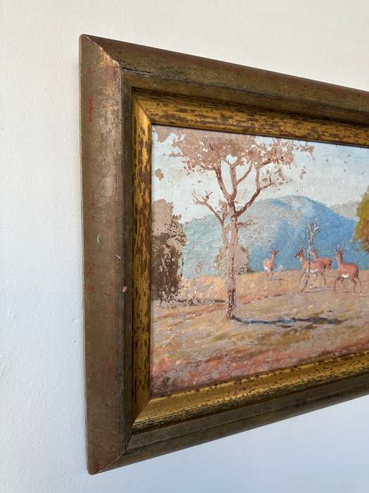 Framed Original Artwork Jack W Phol 1878 - 1944, Springbok - 1938 - Finished Size 56cm x 41cm