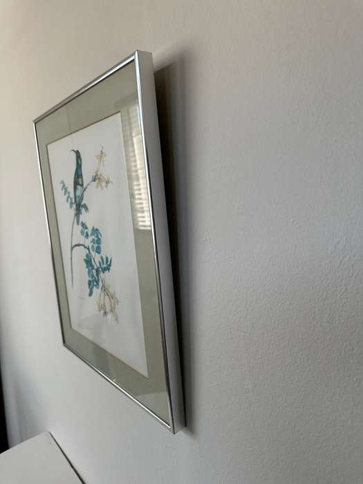 Framed K. Ray-Brower Vintage Print, Sunbird - Finished Size 38.5cm x 46cm