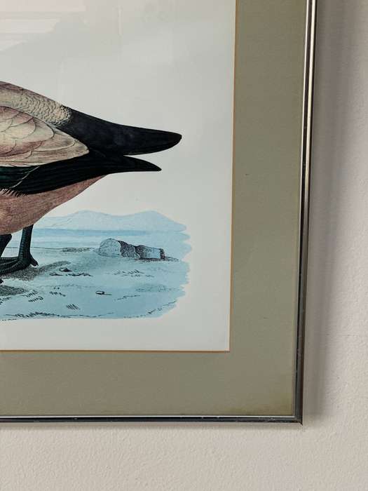 Framed Henri De La Blanchere Vintage Print, Wild Fowl - Finished Size 38.5cm x 46cm