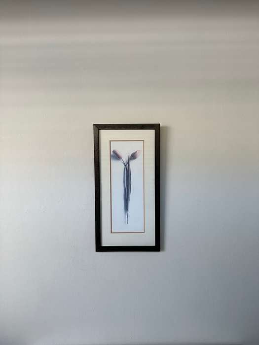 Framed Print, Tulips - Finished Size 26.5cm x 52.5cm