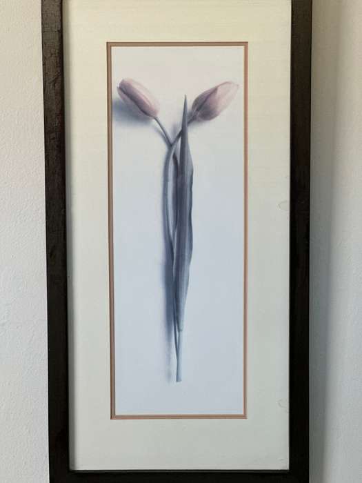 Framed Print, Tulips - Finished Size 26.5cm x 52.5cm