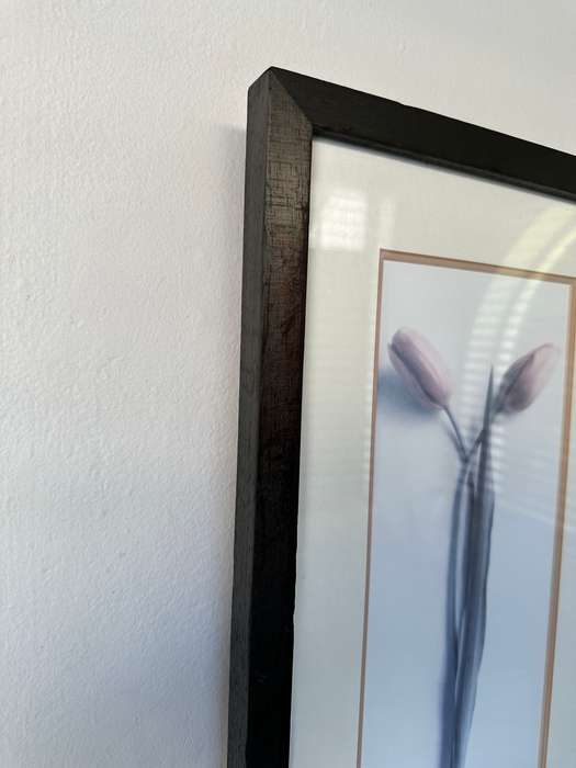 Framed Print, Tulips - Finished Size 26.5cm x 52.5cm