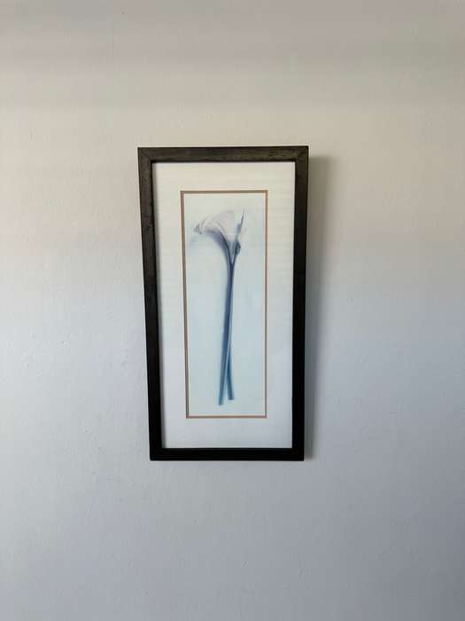 Framed Print, Arum Lily - Finished Size 26.5cm x 52.5cm