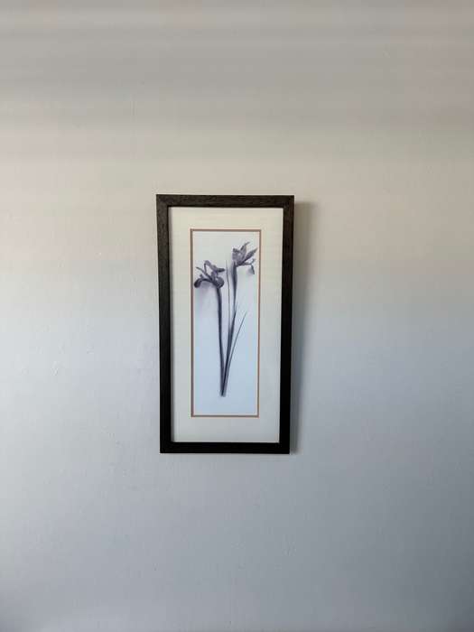 Framed Print, Iris - Finished Size 26.5cm x 52.5cm