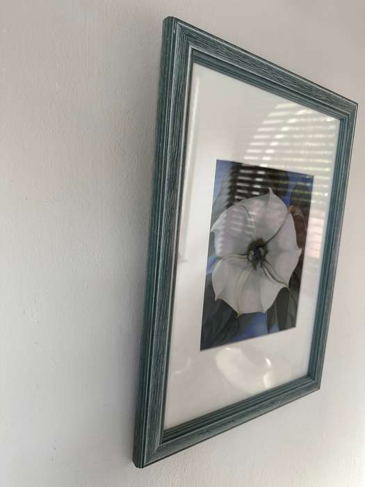 Framed Georgia O'Keeffe Print, Jimson Weed, Finished Size 35cm x 47cm