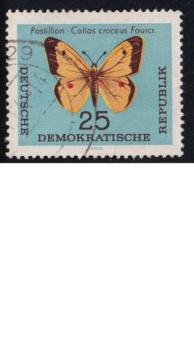 1964 Butterflies, DDR.