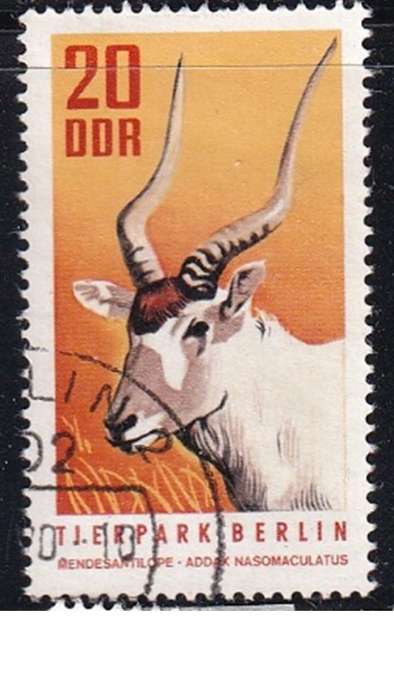 1970 Berlin Zoo, DDR.