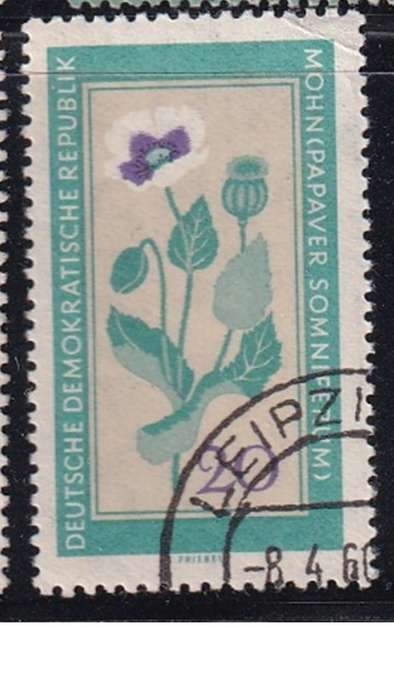 1960 Medicinal Plants, DDR.