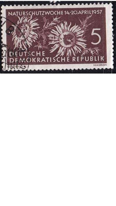 1957 Nature Protection, DDR.