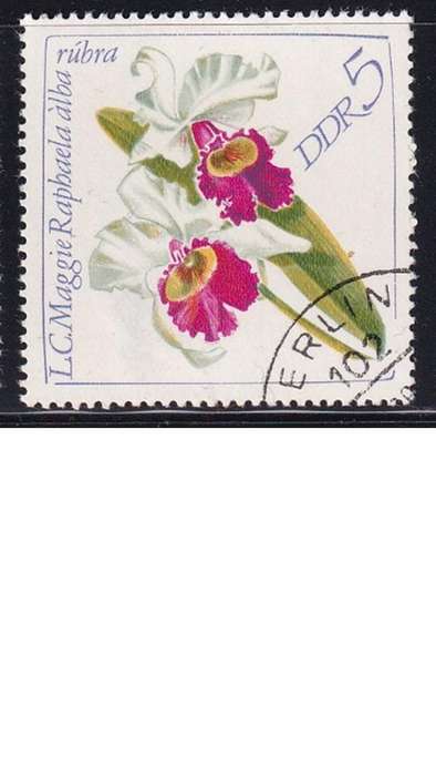 1968 Orhcids, DDR.