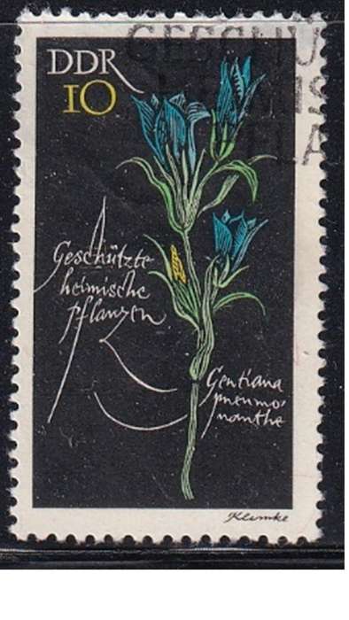 1966 Protected Flowers, DDR.
