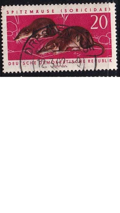 1962 Protected Animals, DDR.