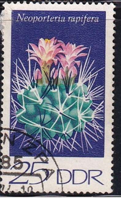 1974 Cactuses, DDR.