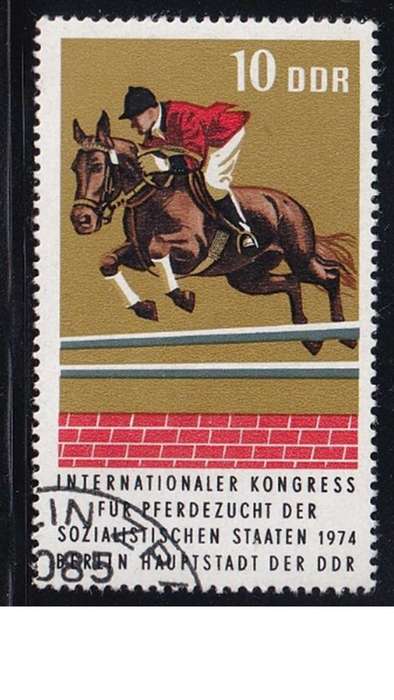 1974 Horses - International Horse Breeders of Socialist Countries Congress, DDR.
