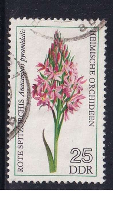 1976 Orchids, DDR.