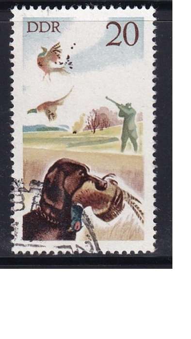 1977 Hunting, DDR.