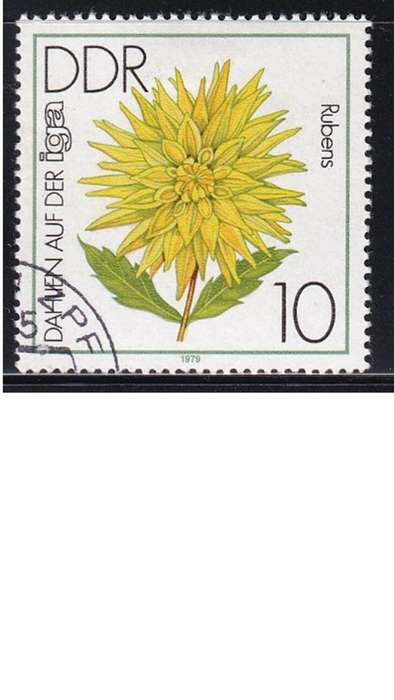 1979 Flowers - Dahlias - International Garden Exhibition, Erfurt, DDR.