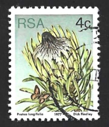 1977 SOUTH AFRICA FLORA, PROTEA PLANTS