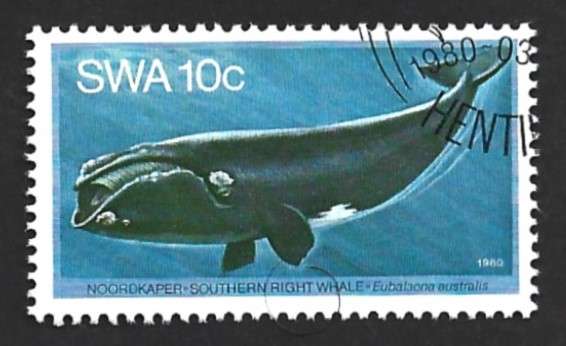1980 SOUTH WEST AFRICA WHALES