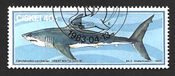 1983 CISKEI SHARK