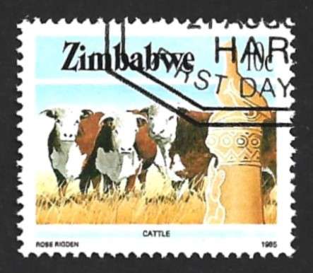 1985 ZIMBABWE NATIONAL INFRASTRUCTURE