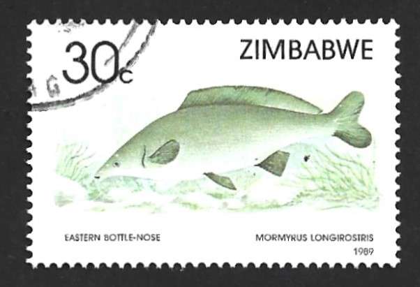 1989 ZIMBABWE FISH